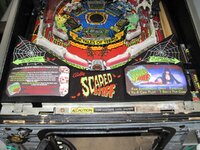 IMG_2906.JPG
