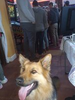 IMG_20180311_1537439.jpg