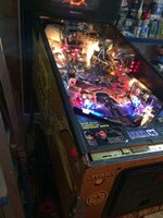 IMG_9795.JPG IMG_9795.JPG