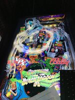 IMG_5909.jpg IMG_5909.jpg
