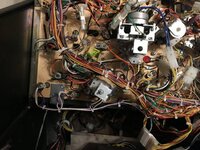 3BC46076-6D03-4629-B69A-E4ED595F22E7.jpeg