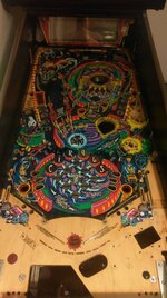 IMAG0646.jpg