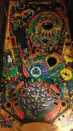 IMAG0647.jpg
