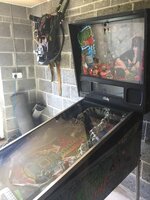 IMG_6202.jpg IMG_6202.jpg