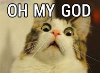 Oh-My-God-Cat.jpg Oh-My-God-Cat.jpg