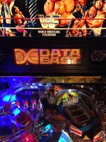 IMG_1230.jpg