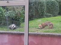 20180616_210755.jpg