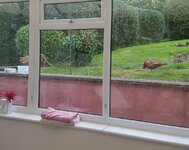 20180615_192858.jpg