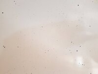 20180714_121448.jpg