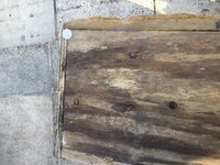 F35B09DB-3562-4DE3-967D-C8873B69C1D3.jpeg