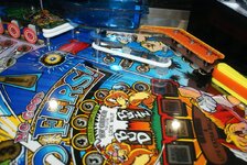 DSC02259.jpg