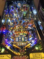 IMG_1977.jpg