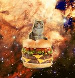 gif cat in space on burger.gif