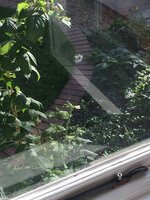 IMG_2388.JPG