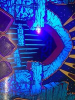 IMG_7062.jpg