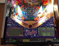 IMG_6802.jpg IMG_6802.jpg