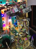 4C86508B-C8A9-4D5D-BAEB-EC5255EBECC9.jpeg