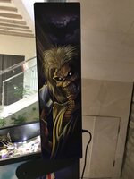 IMG_3434.JPG