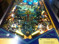 IMG_3530.JPG