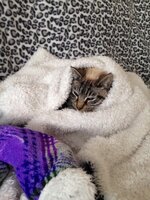 ImageUploadedByTapatalk1404079918.053132.jpg