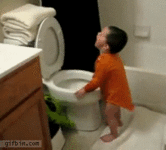 gif kid-sticks-head-in-toilet-bowl.gif