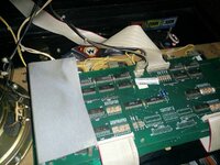 IMG_20140725_151936[1].jpg