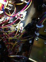 IMG_2206.jpg