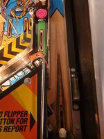 20190224_173218.jpg