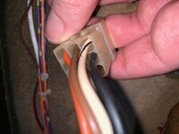 IMG_2784.jpeg