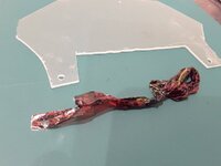 20170212_181359.jpg