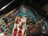 IMG_3735.JPG