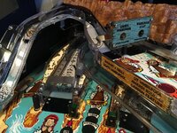 IMG_3787.JPG