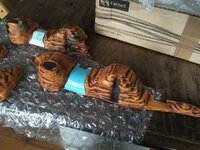 7215A8DF-0BF5-48A2-AB7B-7E8656608B93.jpeg