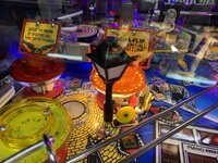 IMG_2904.jpeg
