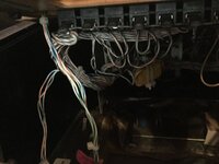 076B8630-70AF-4B83-AECE-09E77511478A.jpeg