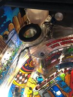IMG_8054.jpg