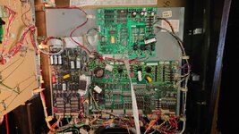 DSC_1969.JPG