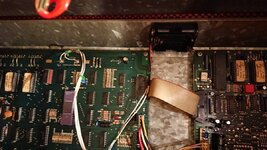 DSC_2155.JPG