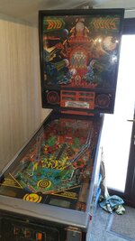 IMG-20190603-WA0006.jpg