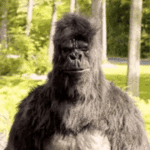 88556