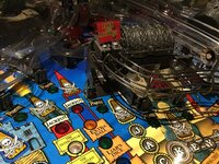 1D15919C-08BC-4A64-A3E4-5C63B2682B08.jpeg