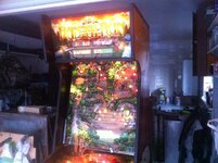IMG_3711.JPG IMG_3711.JPG