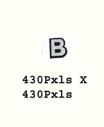 b4 copy.jpg