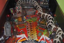 DSC_0895.JPG