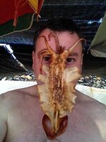 ImageUploadedByTapatalk1409908700.278420.jpg