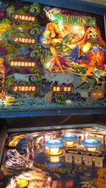IMG_2783.JPG IMG_2783.JPG