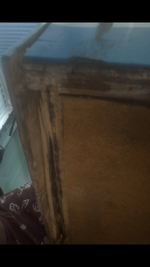 D93BFBD7-977D-4A9D-8D74-873EDF444052.png