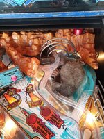20190820_135129.jpg