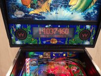 IMG_20190923_152829.jpg
