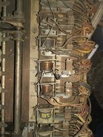 IMG_20191006_115150.jpg